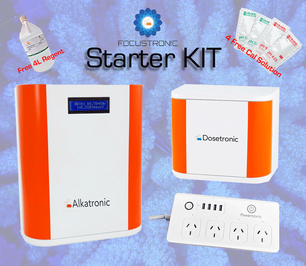 The Starter Kit, Focustronic Alk
